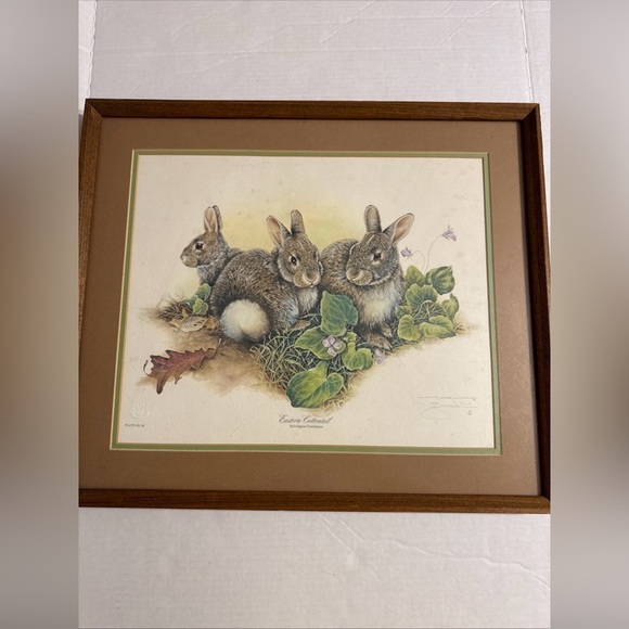 Jim Oliver "Eastern Cottontail" Print, Signed Framed Plate Number 24 Vintage - Picture 1 of 7